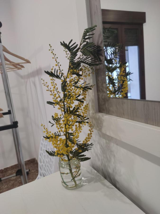 La Casa De La Mimosa Διαμέρισμα Κόρδοβα Εξωτερικό φωτογραφία